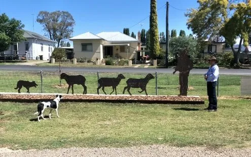 Mick and Cat getting some training in before the NSW championships