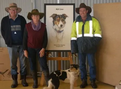 National Open Sheepdog Champion

