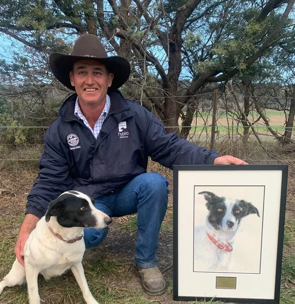 MGH Rabbit - Bungendore winner 2018 Drawing

